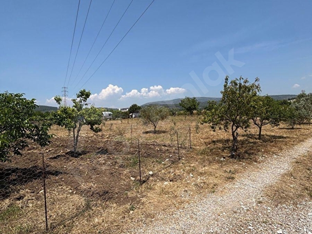 ULAŞ MAHALLESİNDE ÖREN YOLUNA YAKIN 4.750 m² SATILIK TARLA - Görsel 7