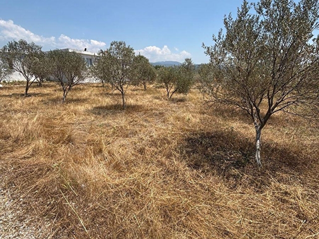 ULAŞ MAHALLESİNDE ÖREN YOLUNA YAKIN 4.750 m² SATILIK TARLA - Görsel 8