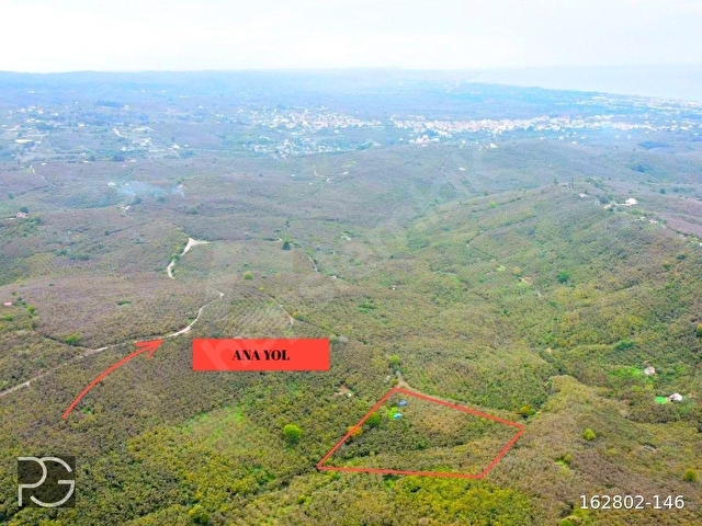 PRIMEDAN SAKARYA KOCAALİ SELAHİYEDE VERİMLİ FINDIK BAHÇESİ!!! - Görsel 2