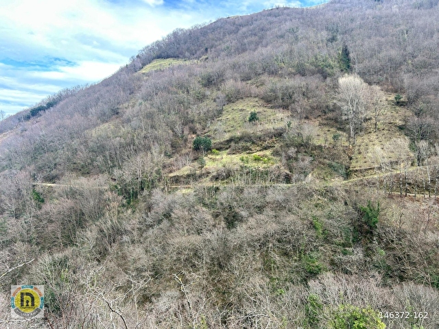 TRABZON AKÇAABAT MERSİNDE SATILIK ARAZİ - Görsel 4