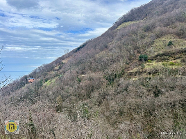 TRABZON AKÇAABAT MERSİNDE SATILIK ARAZİ - Görsel 3