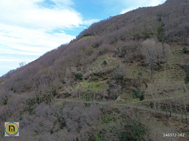 TRABZON AKÇAABAT MERSİNDE SATILIK ARAZİ - Görsel 20