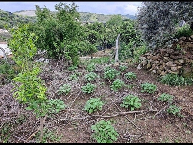 GENİŞ BAHÇELİ MÜSTAKİL EV - Görsel 23