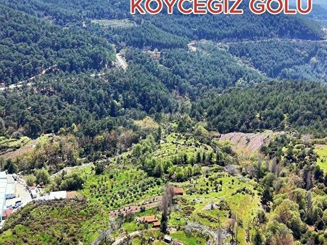 KÖYCEĞİZ/YAYLA MAHALLESİ SATILIK 636 M2 TARLA - Görsel 9