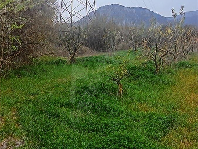 Muğla Dalyan SATILIK 750 m2 Tarla - Görsel 5