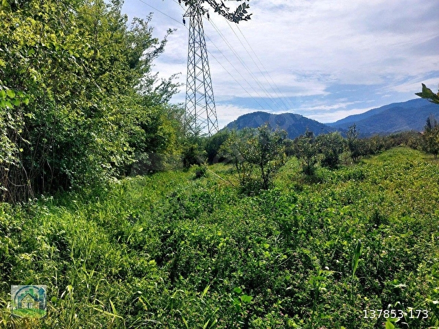 Muğla Dalyan SATILIK 750 m2 Tarla - Görsel 9