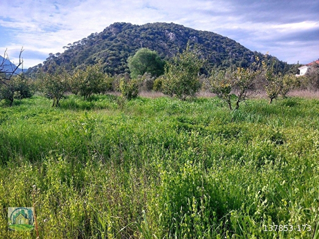 Muğla Dalyan SATILIK 750 m2 Tarla - Görsel 15