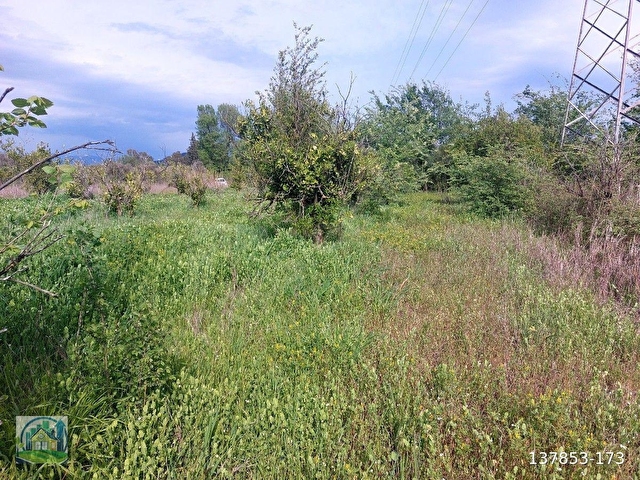 Muğla Dalyan SATILIK 750 m2 Tarla - Görsel 16