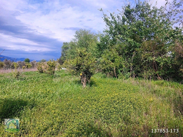 Muğla Dalyan SATILIK 750 m2 Tarla - Görsel 18