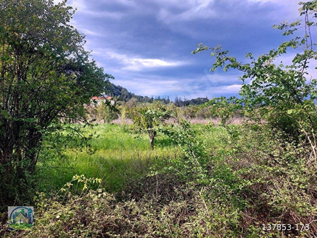 Muğla Dalyan SATILIK 750 m2 Tarla - Görsel 19