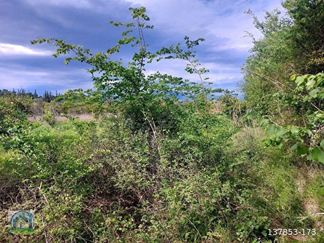 Muğla Dalyan SATILIK 750 m2 Tarla - Görsel 21