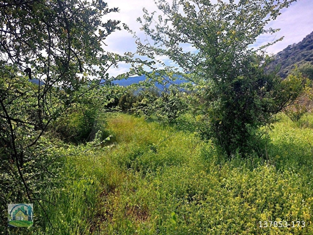 Muğla Dalyan SATILIK 750 m2 Tarla - Görsel 22