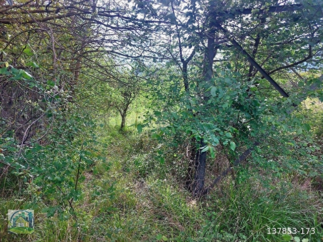 Muğla Dalyan SATILIK 750 m2 Tarla - Görsel 23