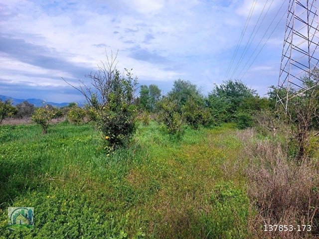Muğla Dalyan SATILIK 750 m2 Tarla - Görsel 25