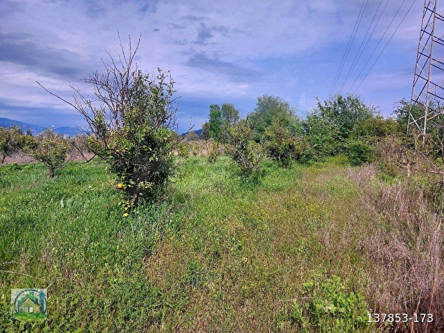 Muğla Dalyan SATILIK 750 m2 Tarla - Görsel 28