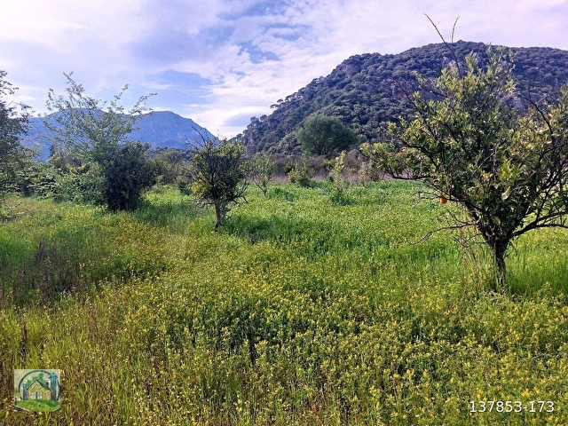 Muğla Dalyan SATILIK 750 m2 Tarla - Görsel 30
