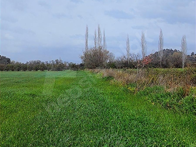 Muğla Dalyan SATILIK 750 m2 Tarla - Görsel 3
