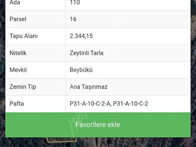 SİLİFKE  KARAKAYA  MAH. NDE SATILIK 2.344 M2 ZEYTİN BAHÇESİ - Görsel 2