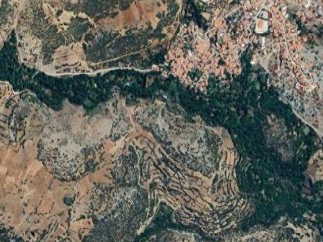BURDUR MERKEZ KAYIŞ KÖYÜ SATILIK 500 M2. CEVİZ BAHÇESİ - Görsel 2