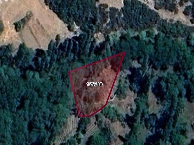 BURDUR MERKEZ KAYIŞ KÖYÜ SATILIK 500 M2. CEVİZ BAHÇESİ