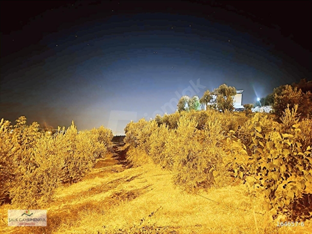 Şehzadeler Aşağıçobanisa Satılık