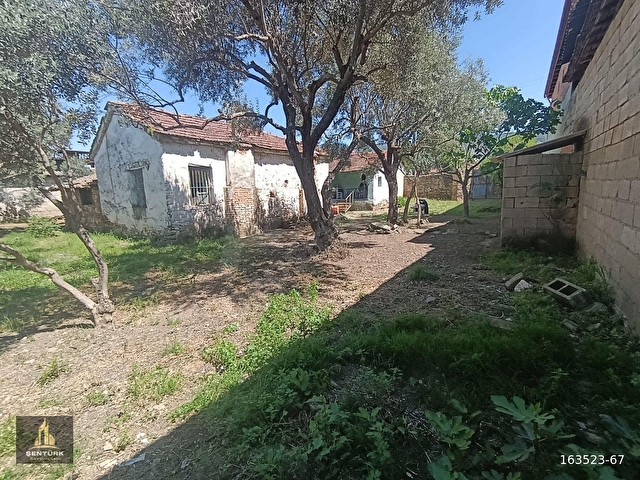 NAZİLLİ YAZIRLI MAHALLESİNDE SATILIK KARGİR EV VE AVLUSU - Görsel 8