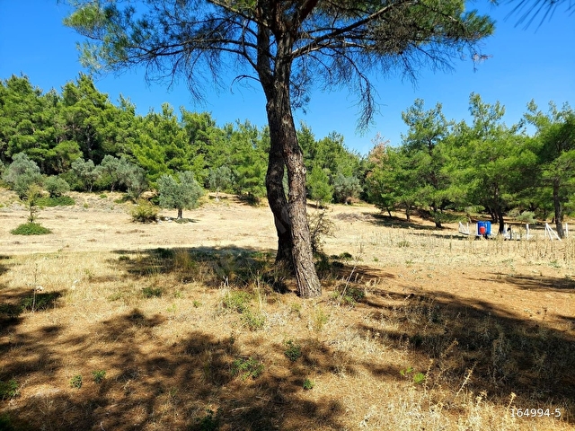 MENDERES ATAKÖY DE TEK TAPU İMAR YAKININDA SATILIK ARSA - Görsel 14