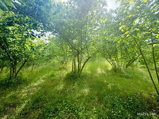 MABELDEN MEŞEBÜKÜ MAH. ANLAYANLAR MAH. MAH. YAKINI SATILIK ARSA