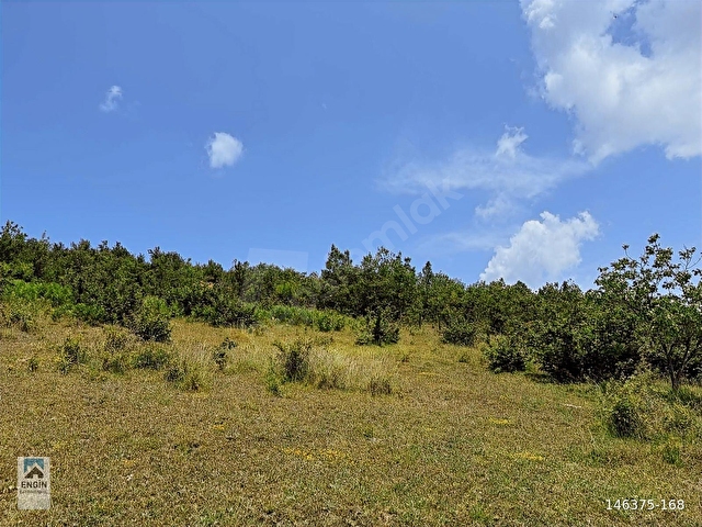 ENGİN GAYRİMENKUL VİLLA iMARLI 4744 m2 ARSA SATILIK - Görsel 18