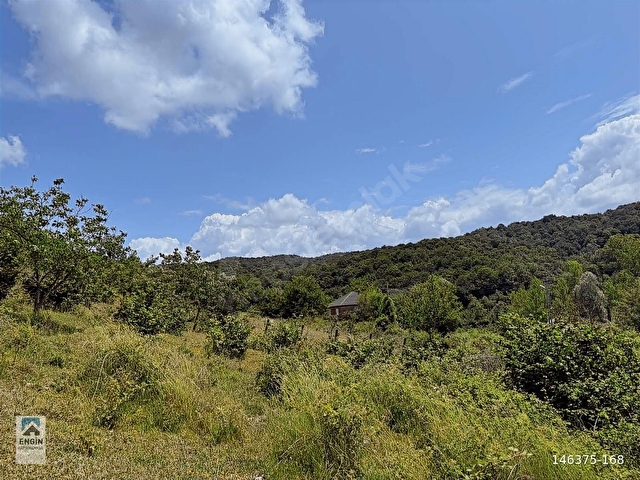 ENGİN GAYRİMENKUL VİLLA iMARLI 4744 m2 ARSA SATILIK - Görsel 19