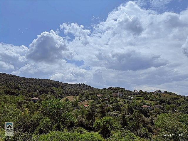 ENGİN GAYRİMENKUL VİLLA iMARLI 4744 m2 ARSA SATILIK - Görsel 16