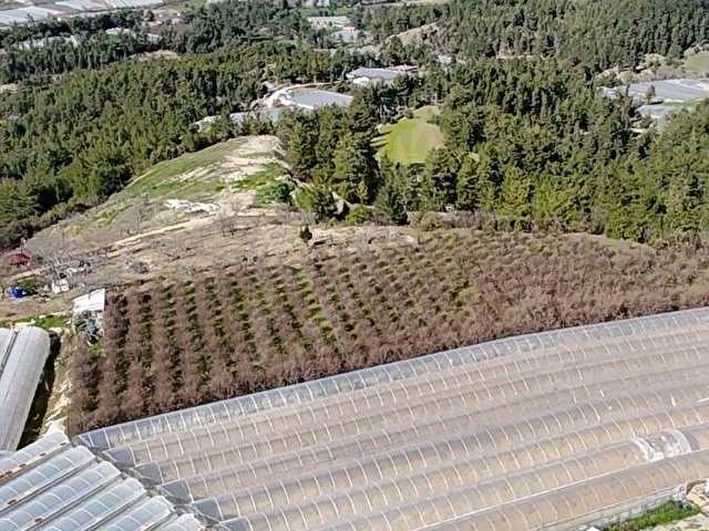 Kaş Karadağ Satılık 1600 m2 Fırsat Nar Bahçesi - Görsel 8