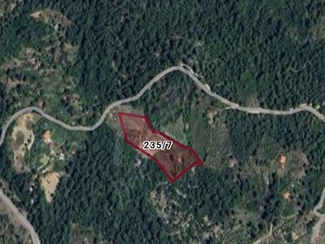 MUĞLA DALAMAN NARLI TOPLAMDA 13 DÖNÜM TARLA SATIŞA SUNULMUŞTUR - Görsel 8