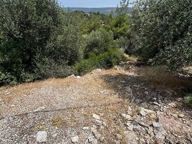 DÖŞEMEALTI EKŞİLİ MHDE SATILIK 1.408 M2 MÜSTAKİL PARSEL VİLLA ARSASI - Görsel 6