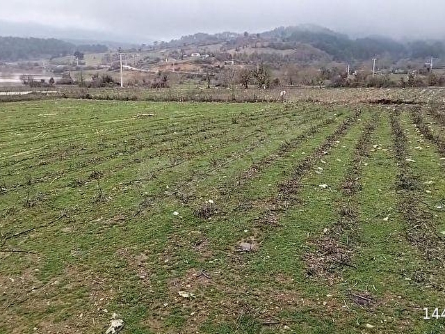 BRT GAYRİMENKUL DEN ÖDEMİŞ HORZUM DA SATILIK ARAZİ - Görsel 4