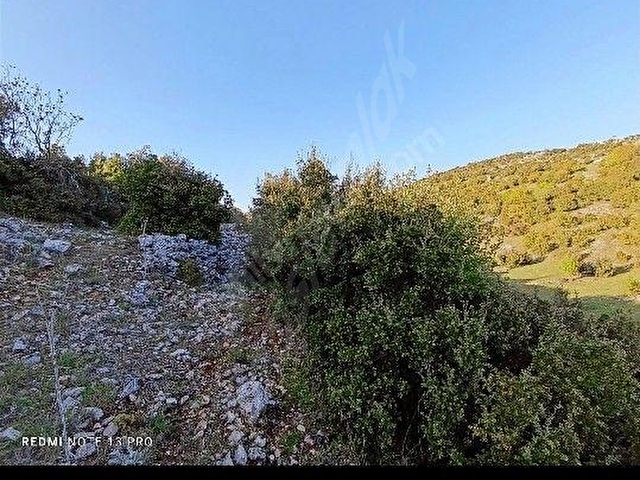 YAYLADAĞI ŞENKÖY DE İMARLİ İFRAZLİ PARSELLER YATİRİMLİK UYGUN FİYATA - Görsel 2