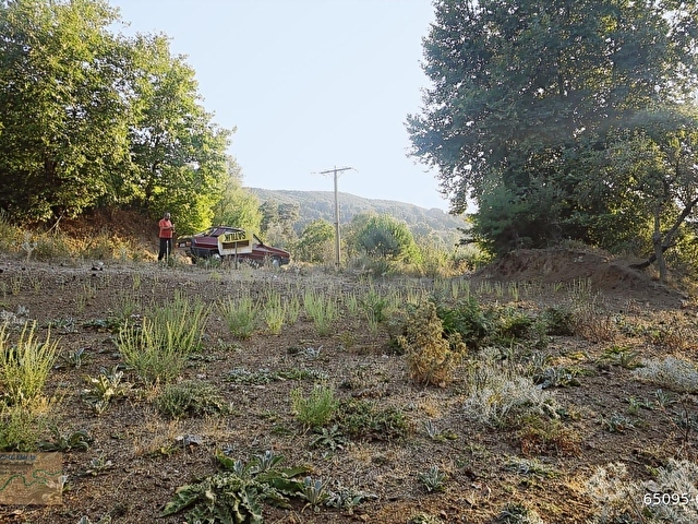 ÇANAKKALE BAYRAMİÇ SERHAT KÖYÜ 592 m2 % 80 İMARLI ARSA - Görsel 8