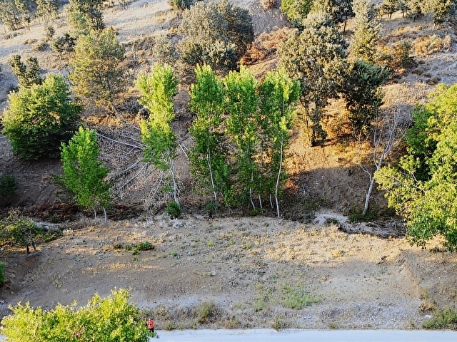 ÇANAKKALE BAYRAMİÇ SERHAT KÖYÜ 592 m2 % 80 İMARLI ARSA - Görsel 26