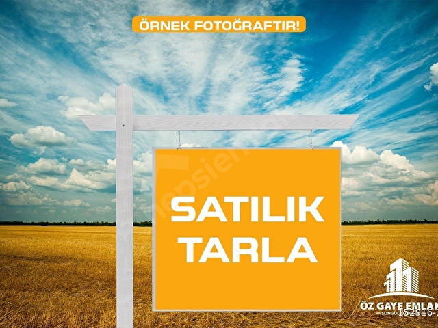 ÖZ GAYE EMLAKTAN DEVELİ GÖMEDİ MAHALLESİNDE SATILIK TARLA