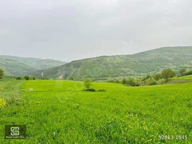 Samsun Çatmaolukta Tarla - Görsel 10