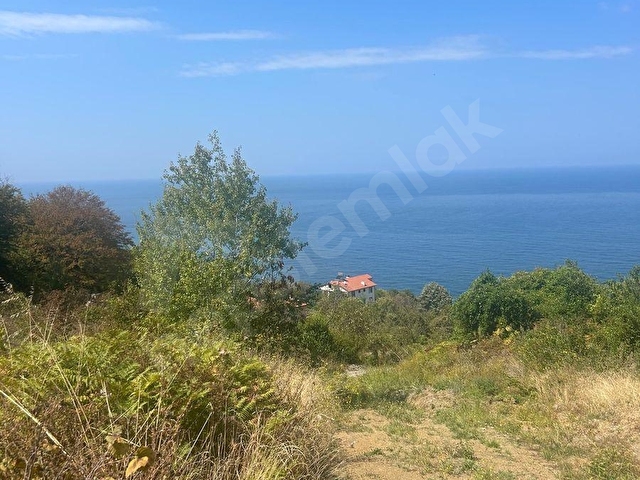 ZONGULDAK KDZ.EREĞLİ BURUNCUK BÖLGESİNDE DENİZ MANZARALI SATILIK TARLA. - Görsel 2