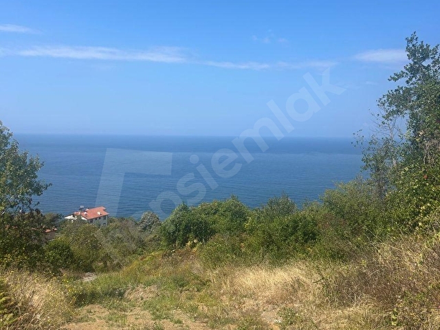 ZONGULDAK KDZ.EREĞLİ BURUNCUK BÖLGESİNDE DENİZ MANZARALI SATILIK TARLA.