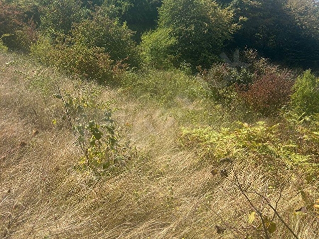 ZONGULDAK KDZ.EREĞLİ BURUNCUK BÖLGESİNDE DENİZ MANZARALI SATILIK TARLA. - Görsel 4