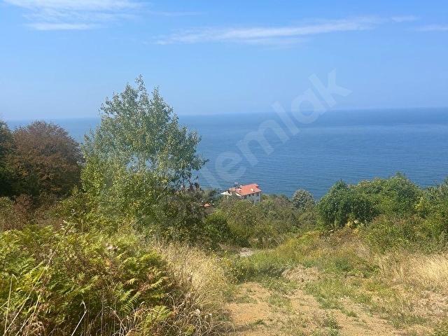 ZONGULDAK KDZ.EREĞLİ BURUNCUK BÖLGESİNDE DENİZ MANZARALI SATILIK TARLA. - Görsel 12