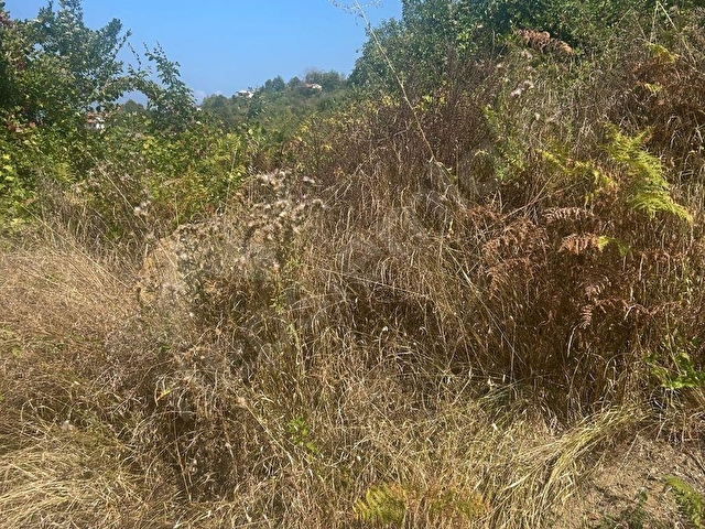 ZONGULDAK KDZ.EREĞLİ BURUNCUK BÖLGESİNDE DENİZ MANZARALI SATILIK TARLA. - Görsel 13