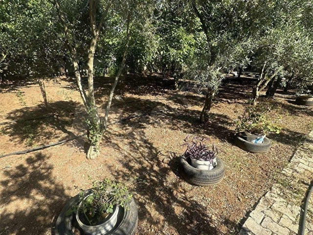 Müstakil iki katlı prefabrik ev Arsa ve bahçesi - Görsel 9