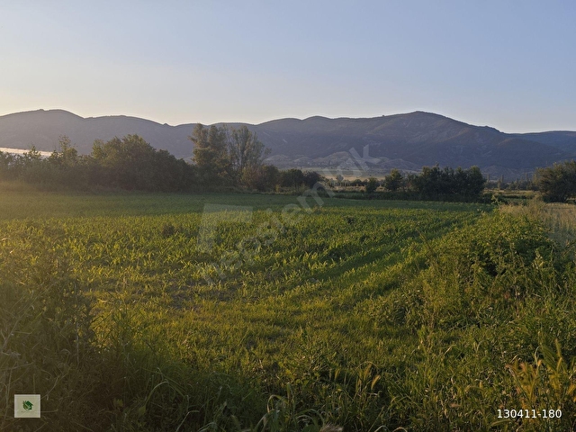 TOKAT TURHAL KARAYOLU ÜZERİNDE 4.632 m2 SATILIK BAHÇE - Görsel 28