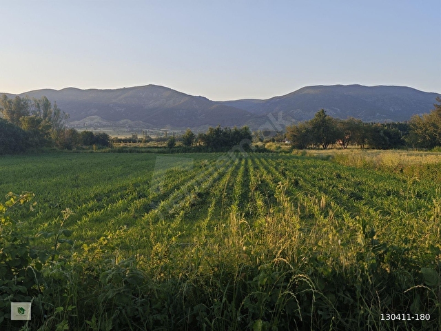 TOKAT TURHAL KARAYOLU ÜZERİNDE 4.632 m2 SATILIK BAHÇE - Görsel 13