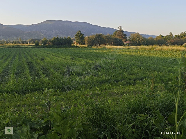 TOKAT TURHAL KARAYOLU ÜZERİNDE 4.632 m2 SATILIK BAHÇE - Görsel 30