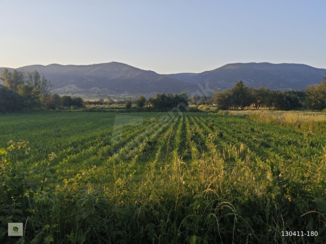 TOKAT TURHAL KARAYOLU ÜZERİNDE 4.632 m2 SATILIK BAHÇE - Görsel 20